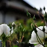 Vakantieboerderij Le Rose