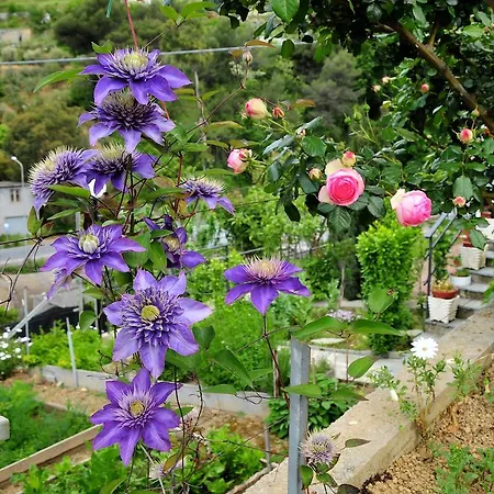 Le Rose ファームステイ San Biagio della Cima