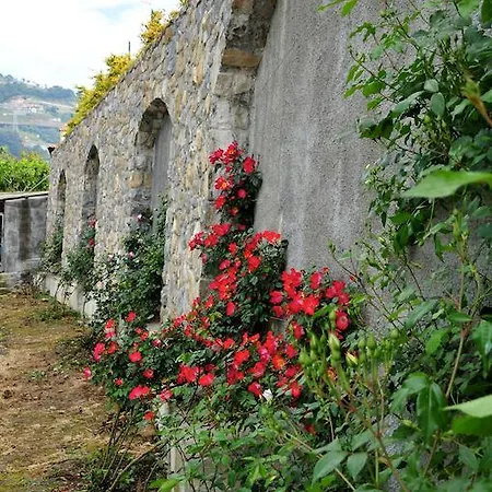 Le Rose Farmház