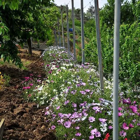 Le Rose Farmház *