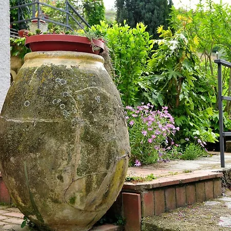 Le Rose San Biagio della Cima