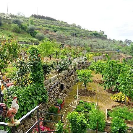 Gospodarstwo agroturystyczne Le Rose *