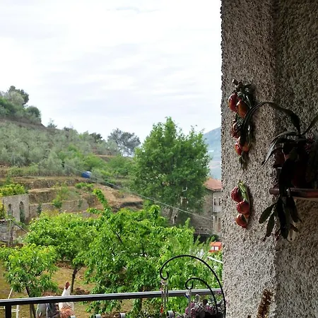 Le Rose San Biagio della Cima
