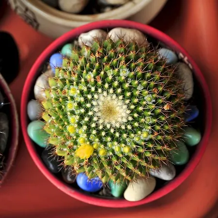 Le Rose Gospodarstwo agroturystyczne