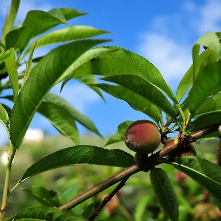 Gospodarstwo agroturystyczne Le Rose