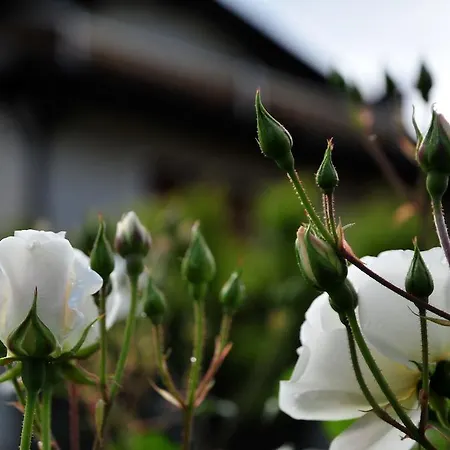 Farma Le Rose