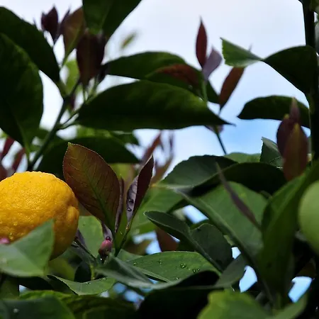 Le Rose Gospodarstwo agroturystyczne *